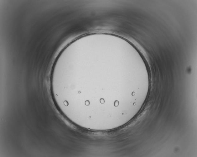 X0000116671341201001111303