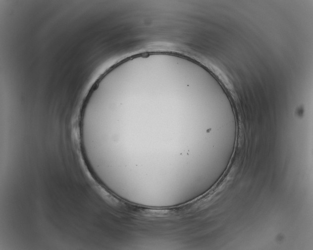 X0000116671342201001111303