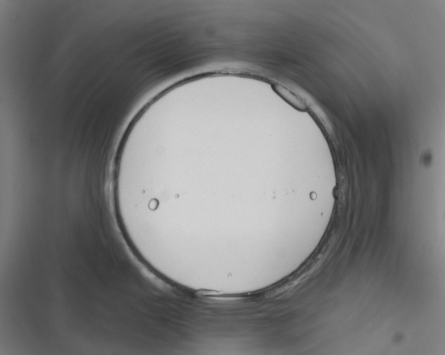 X0000116671343201001111303