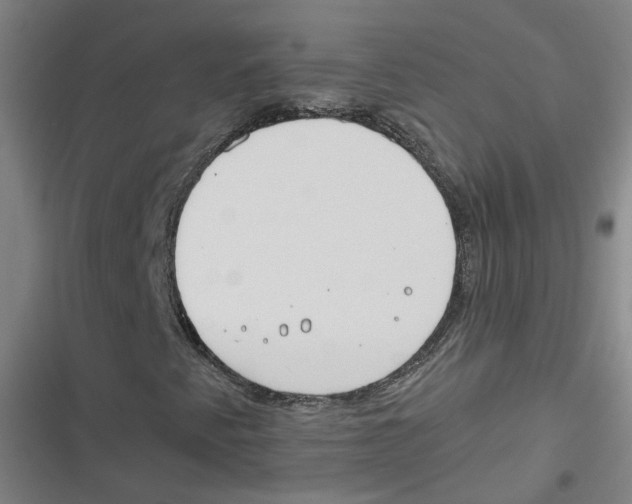 X0000116671345201001111302