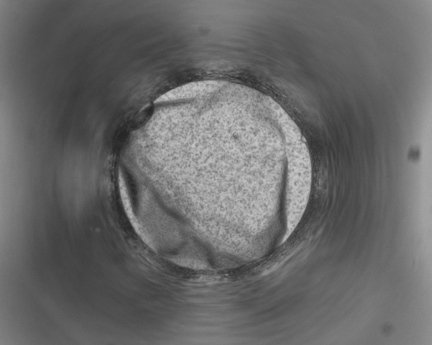 X0000116671346201001111302