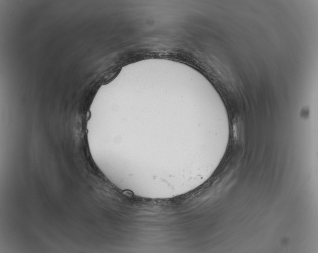 X0000116671347201001111302