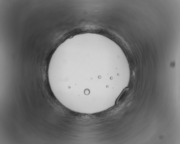 X0000116671348201001111302