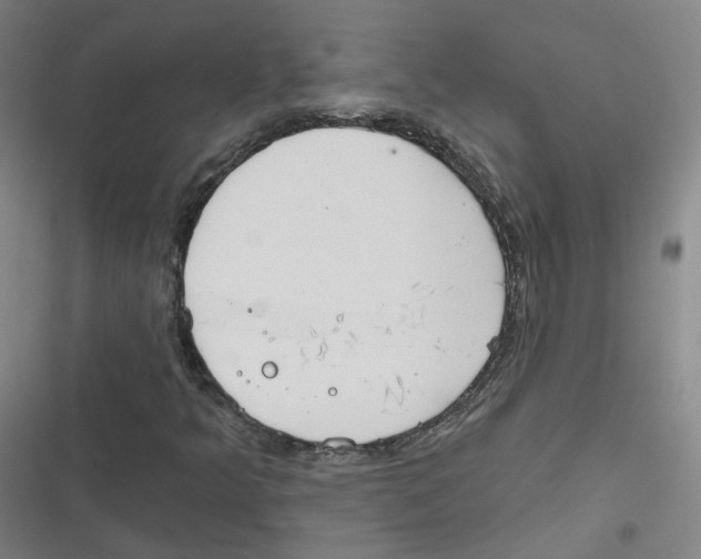 X0000116671349201001111302