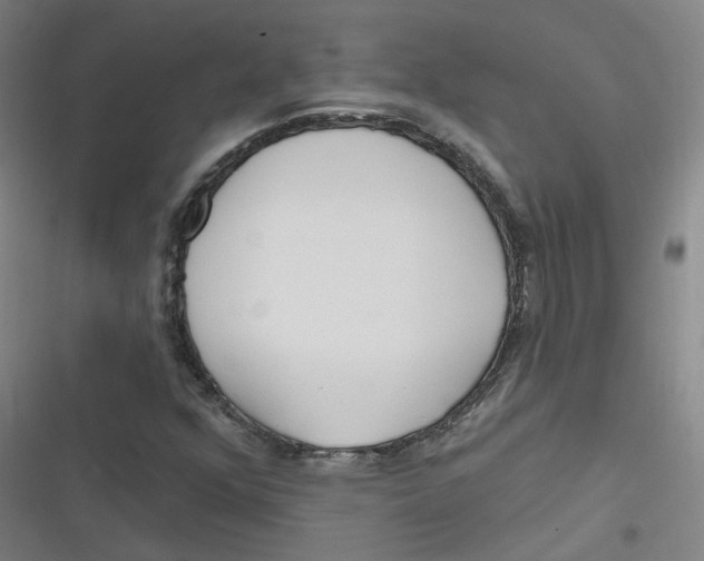 X0000116671352201001111302