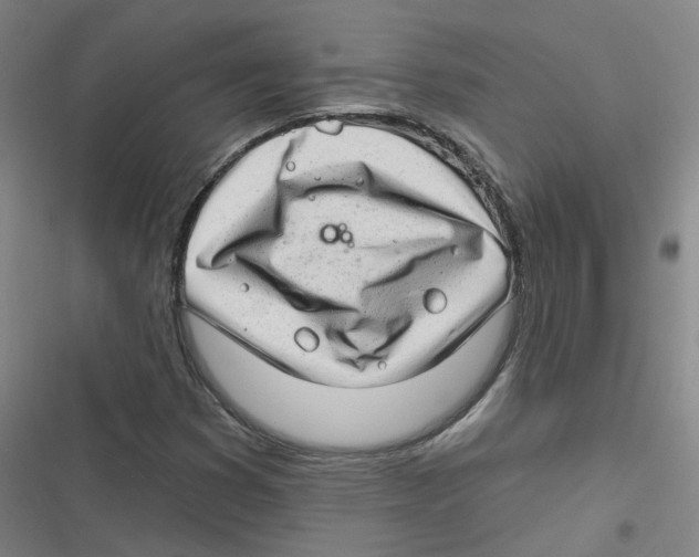 X0000116671353201001111302