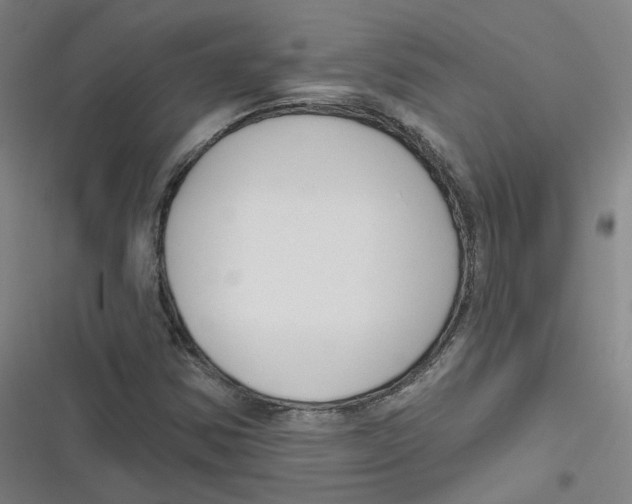 X0000116671354201001111302