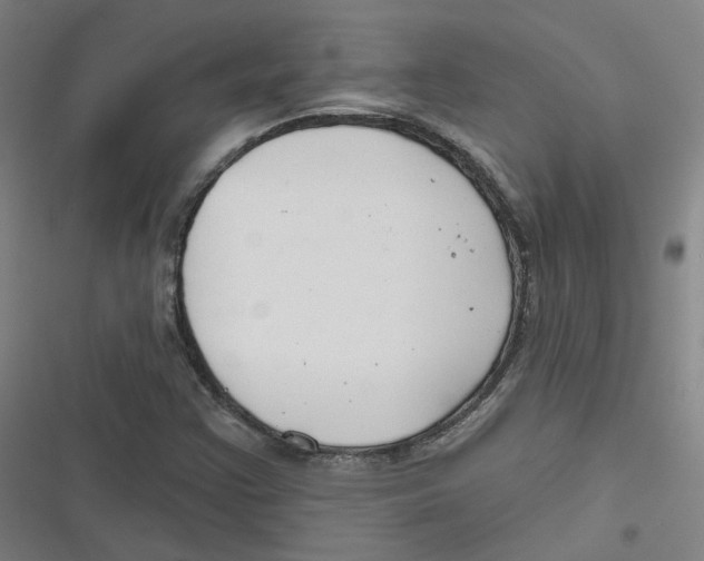 X0000116671355201001111302