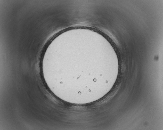 X0000116671356201001111302