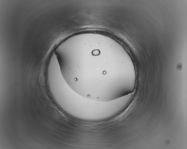 X0000116671357201001111302