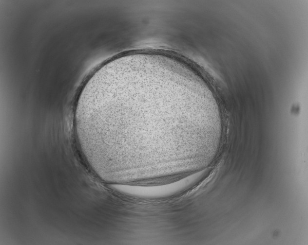 X0000116671358201001111302