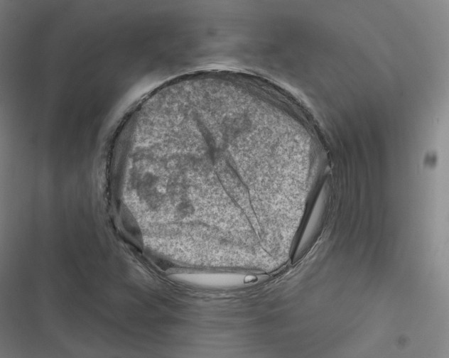 X0000116671359201001111302