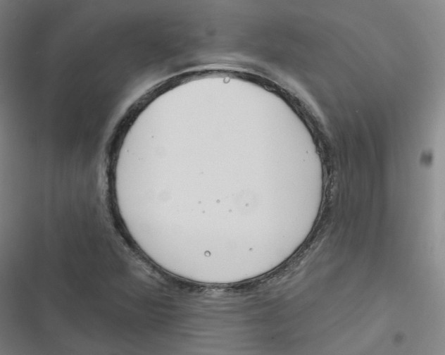 X0000116671360201001111302