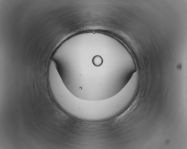 X0000116671361201001111302