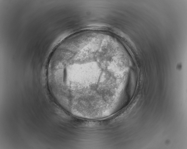 X0000116671362201001111302