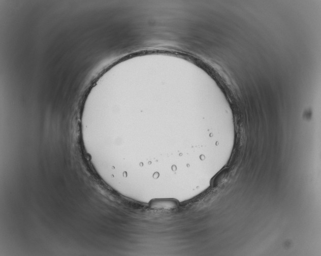 X0000116671363201001111302