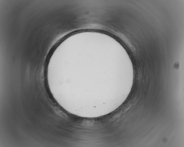 X0000116671364201001111302