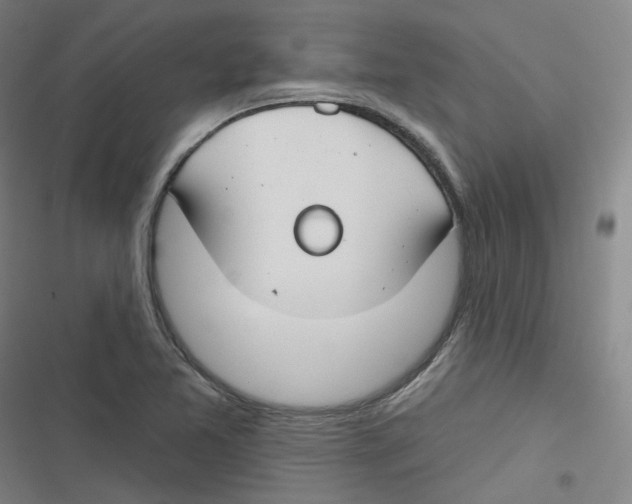 X0000116671365201001111302