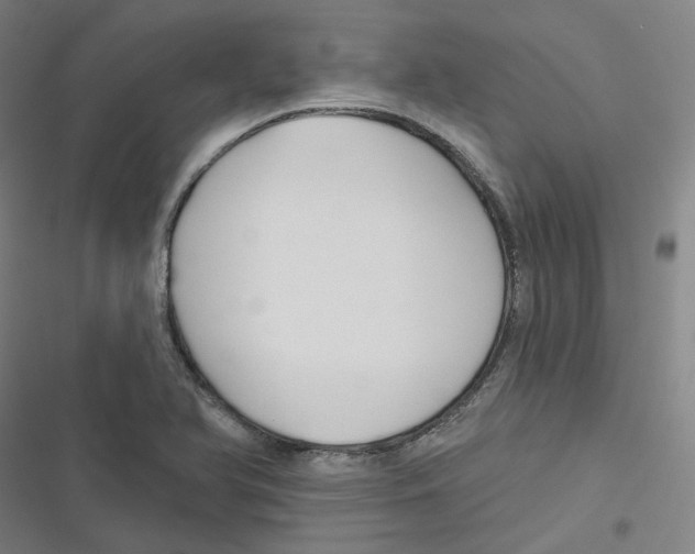 X0000116671366201001111302