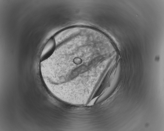 X0000116671367201001111302