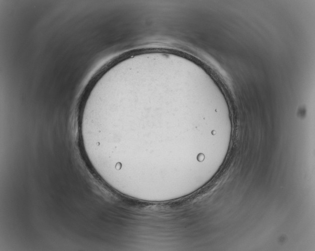 X0000116671368201001111302