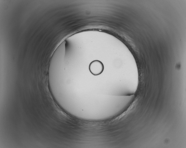 X0000116671369201001111302