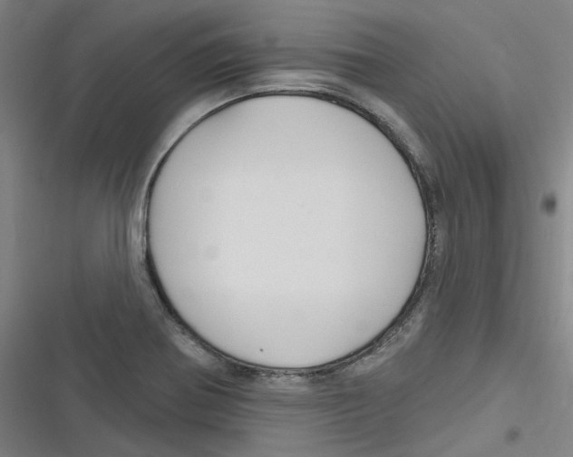 X0000116671370201001111302