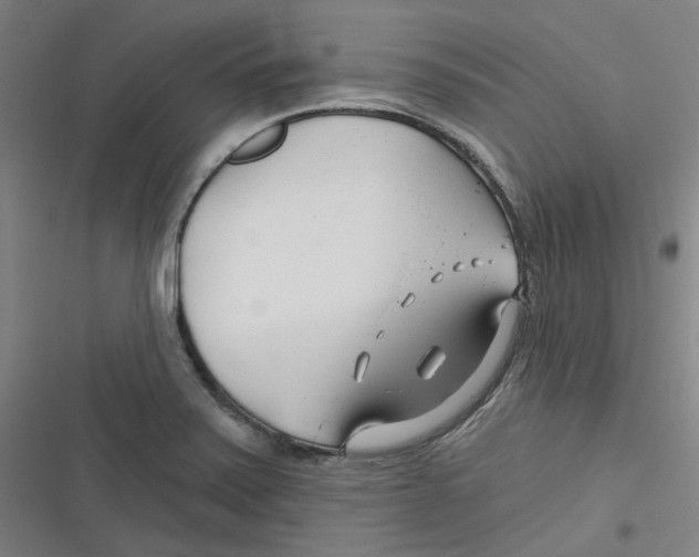 X0000116671371201001111302