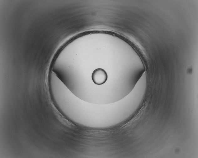 X0000116671372201001111302