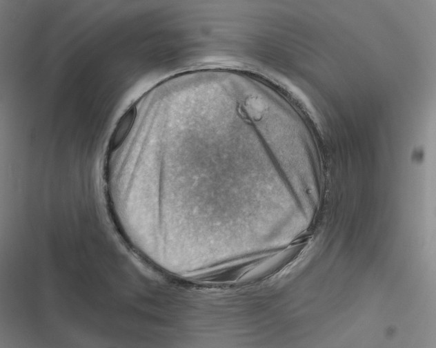 X0000116671373201001111302