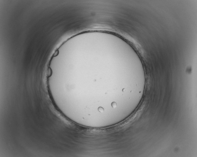 X0000116671374201001111302