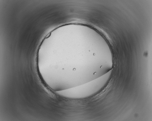 X0000116671375201001111302