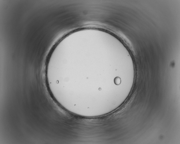 X0000116671376201001111302