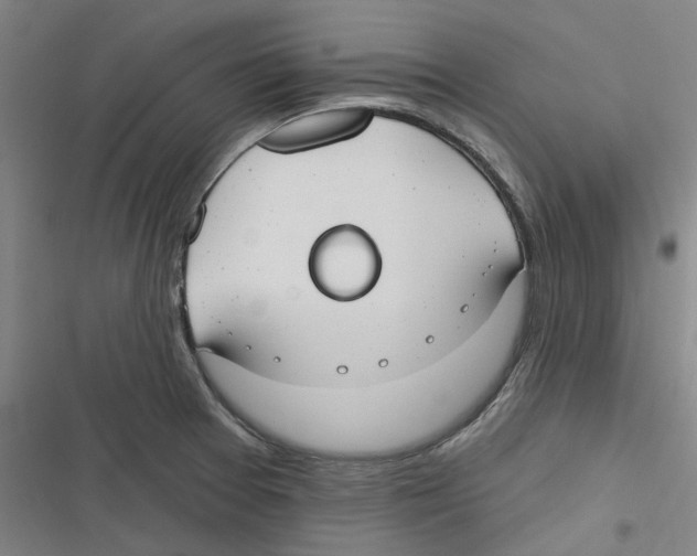 X0000116671377201001111302