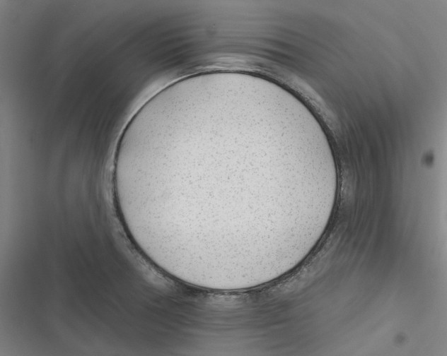 X0000116671378201001111302