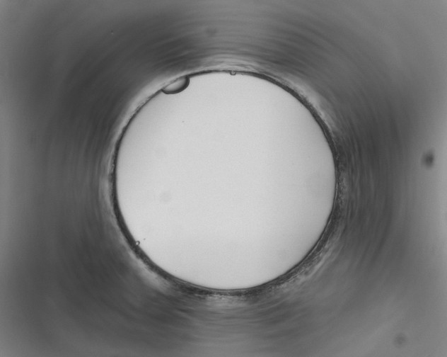 X0000116671379201001111302