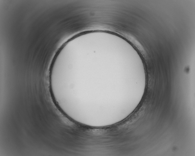 X0000116671380201001111302