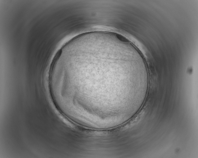 X0000116671381201001111302