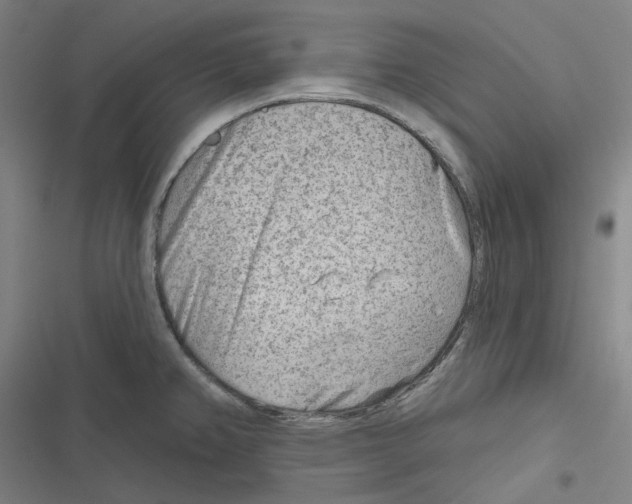 X0000116671382201001111302