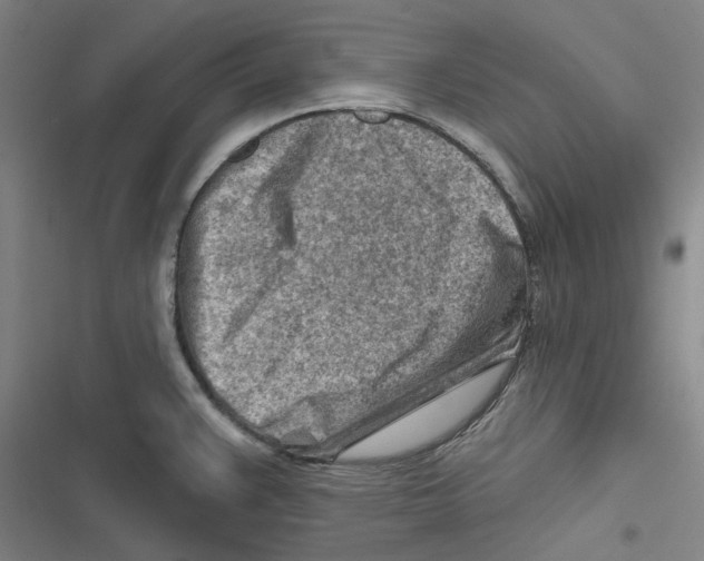 X0000116671383201001111302