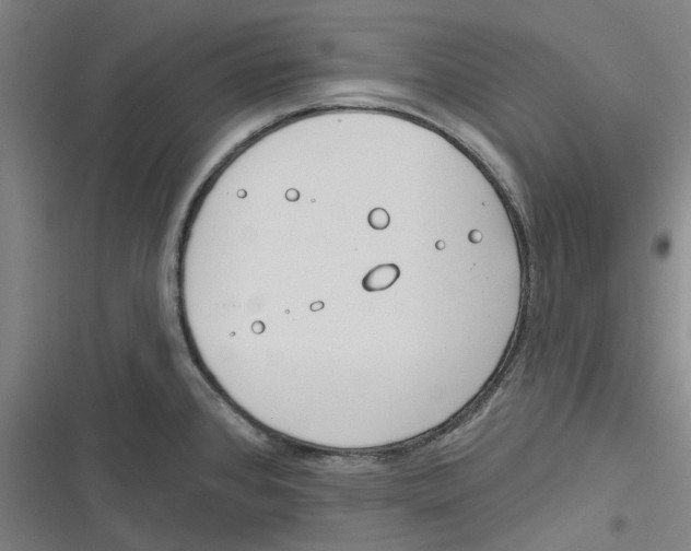 X0000116671384201001111302