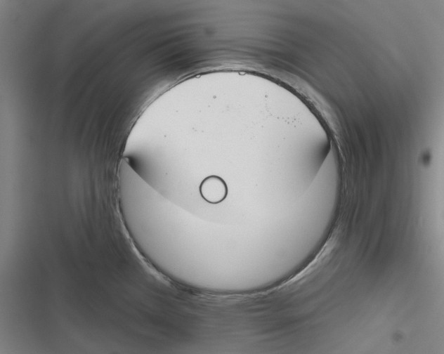 X0000116671385201001111302