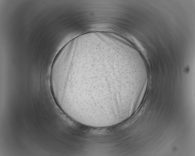 X0000116671386201001111302