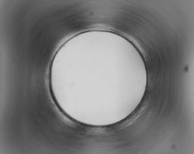 X0000116671387201001111302