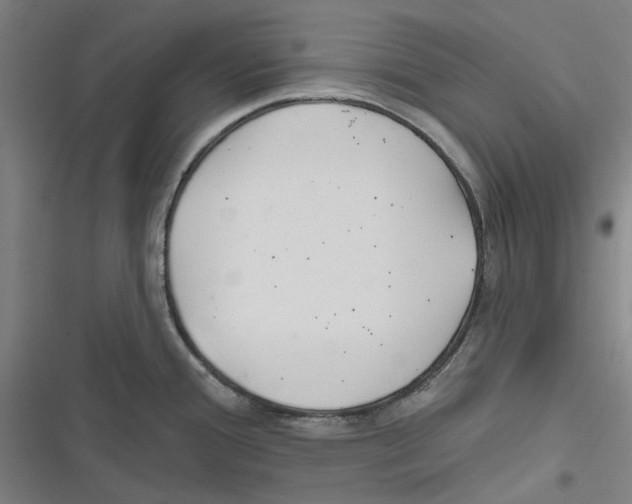 X0000116671388201001111302