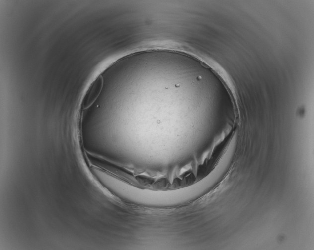 X0000116671389201001111302