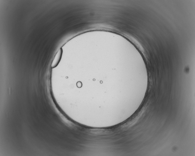 X0000116671391201001111302