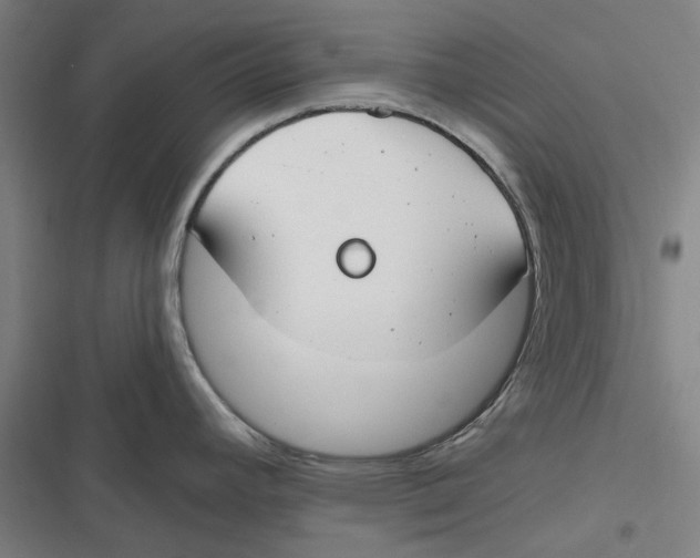 X0000116671392201001111302