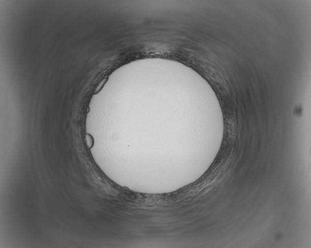 X0000116671393201001111301