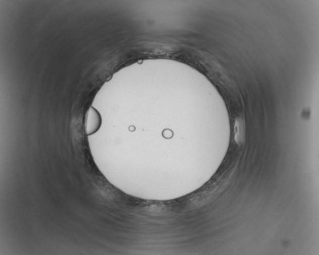 X0000116671395201001111301